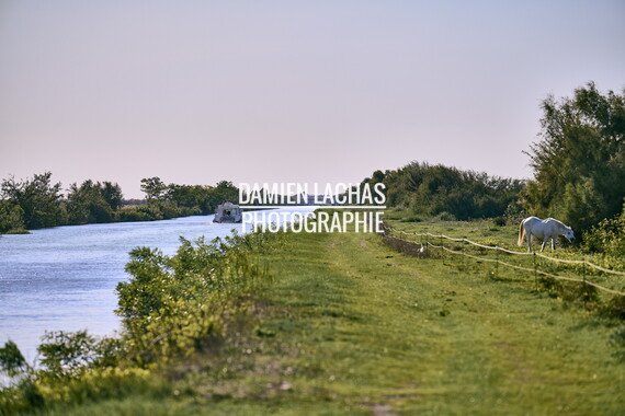 vnf dtrs crs tourisme navigation 01 bellegarde-gallician 035