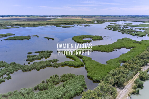 vnf dtrs crs tourradons aerien 010