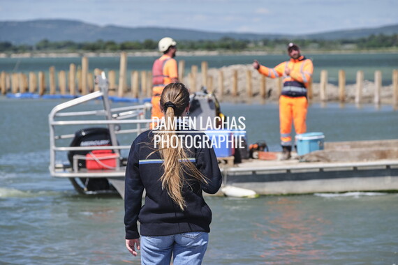 vnf dtrs crs travaux berges palavas agent 006