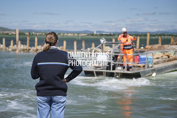 vnf dtrs crs travaux berges palavas agent 007