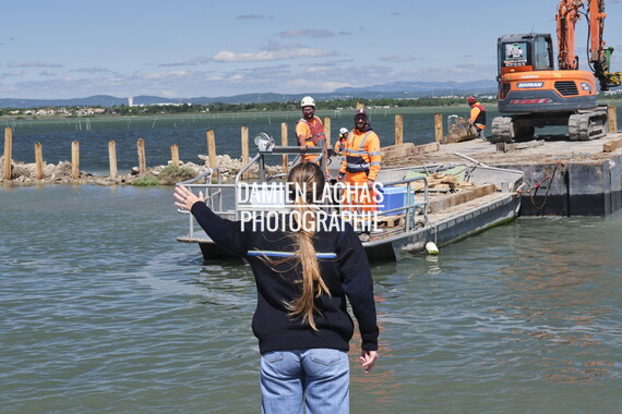 vnf dtrs crs travaux berges palavas agent 010