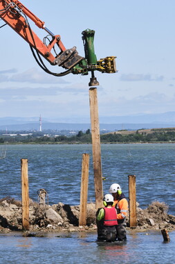 vnf dtrs crs travaux berges palavas arnel 011