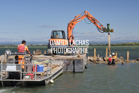 vnf dtrs crs travaux berges palavas arnel 012