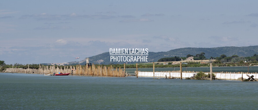 vnf dtrs crs travaux berges palavas arnel 025