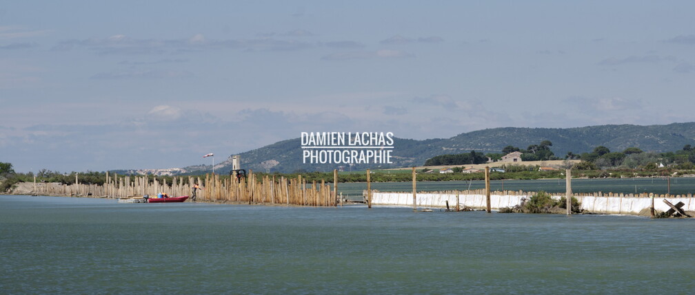 vnf_dtrs_crs_travaux_berges_palavas_arnel_025.jpg