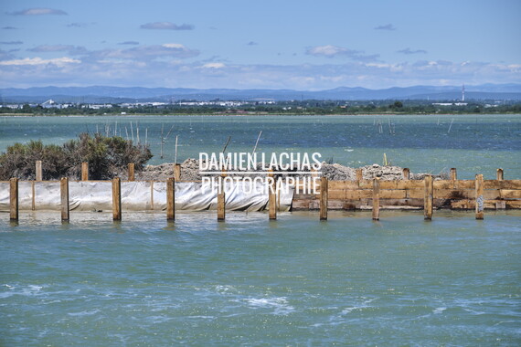 vnf dtrs crs travaux berges palavas arnel 027