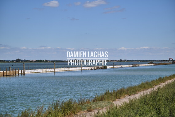 vnf dtrs crs travaux berges palavas arnel 029