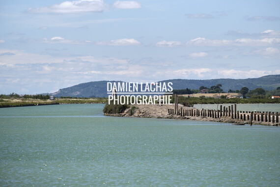 vnf dtrs crs travaux berges palavas arnel 030