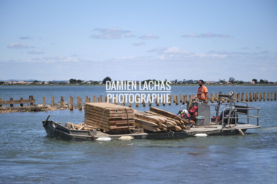 vnf dtrs crs travaux berges palavas arnel 042