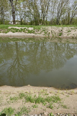 dtne bv plantation avril2015 33vm 001
