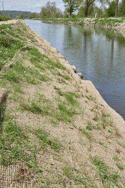 dtne bv plantation avril2015 33vm 003