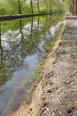 dtne bv plantation avril2015 38vm bief 001