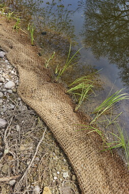 dtne bv plantation avril2015 38vm bief 002