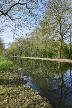 dtne bv plantation avril2015 38vm bief 009