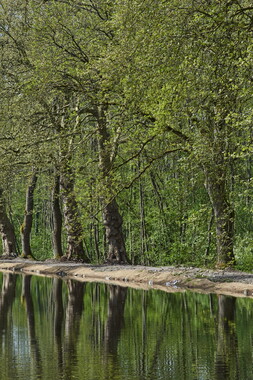 dtne bv plantation avril2015 38vm bief 016