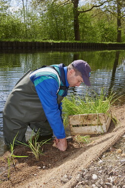 dtne bv plantation avril2015 38vm portrait 004