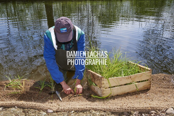dtne bv plantation avril2015 38vm portrait 005