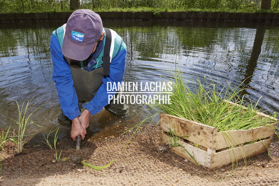 dtne bv plantation avril2015 38vm portrait 006