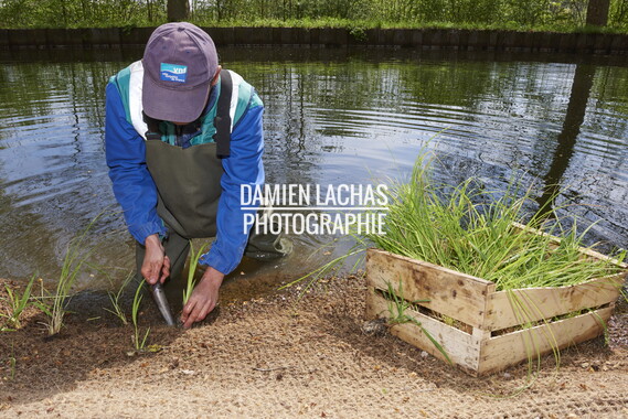 dtne bv plantation avril2015 38vm portrait 007