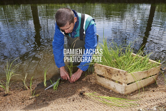 dtne bv plantation avril2015 38vm portrait 008