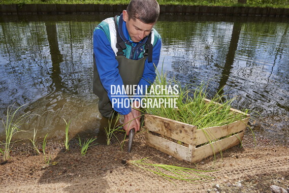 dtne bv plantation avril2015 38vm portrait 009