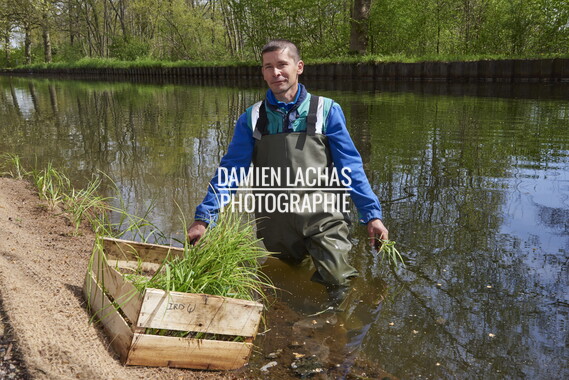 dtne bv plantation avril2015 38vm portrait 016