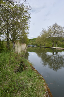 dtne bv plantation avril2015 43vm 011