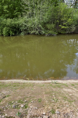dtne bv plantation avril2015 43vs 005