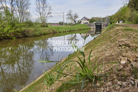 dtne bv plantation avril2015 43vs 009