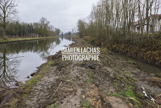 vnf dtne berge vegetalisee dec2014 canal vosges bief 22vm igney 005