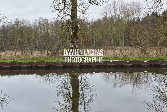 vnf dtne berge vegetalisee dec2014 canal vosges bief 22vm igney 008