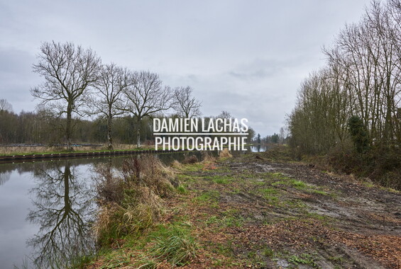vnf dtne berge vegetalisee dec2014 canal vosges bief 22vm igney 010