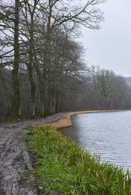 vnf dtne berge vegetalisee dec2014 canal vosges bief 33vs bains-les-bains 001