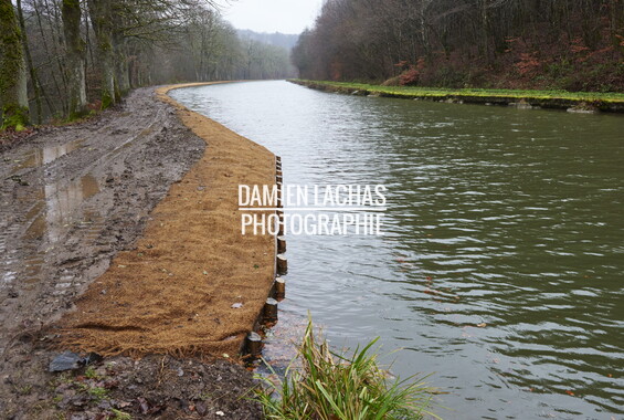 vnf dtne berge vegetalisee dec2014 canal vosges bief 33vs bains-les-bains 003