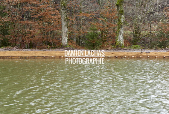 vnf dtne berge vegetalisee dec2014 canal vosges bief 33vs bains-les-bains 015