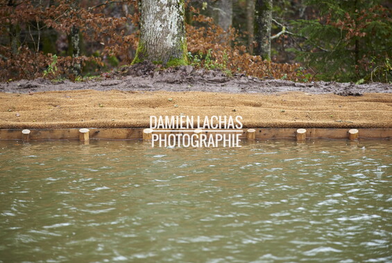 vnf dtne berge vegetalisee dec2014 canal vosges bief 33vs bains-les-bains 016