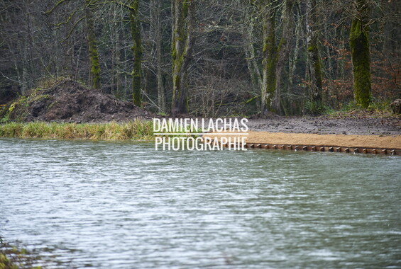 vnf dtne berge vegetalisee dec2014 canal vosges bief 33vs bains-les-bains 019