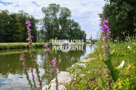 vnf dtne canal vosges corre 004