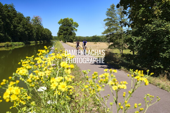 vnf dtne canal vosges ecluse basse vaivre 004