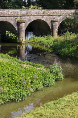 vnf dtne canal vosges selles 008
