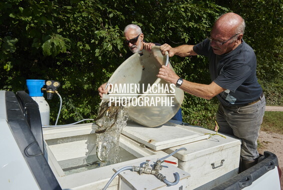 vnf peche electrique chomage epinal 023