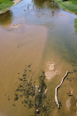 vnf dtbs loire biodiversite 001
