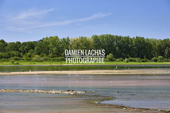 vnf dtbs loire biodiversite 007