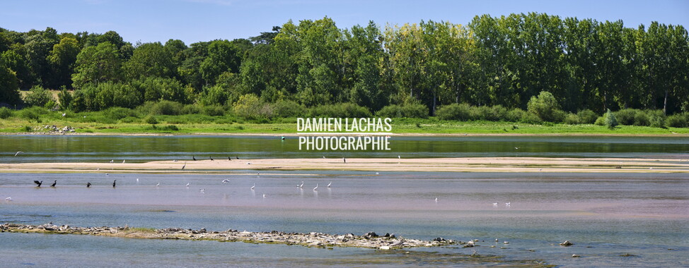 vnf dtbs loire biodiversite 008