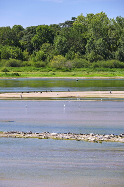 vnf dtbs loire biodiversite 009