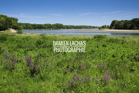vnf dtbs loire bouchemaine 001