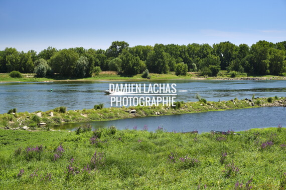vnf dtbs loire bouchemaine 003