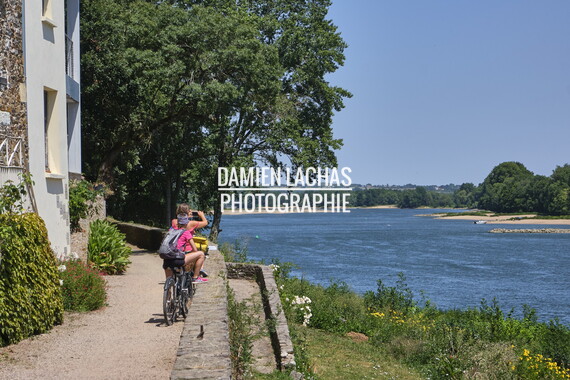vnf dtbs loire cellier 002