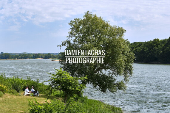 vnf dtbs loire cellier 008