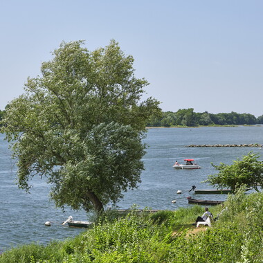 vnf dtbs loire cellier 009
